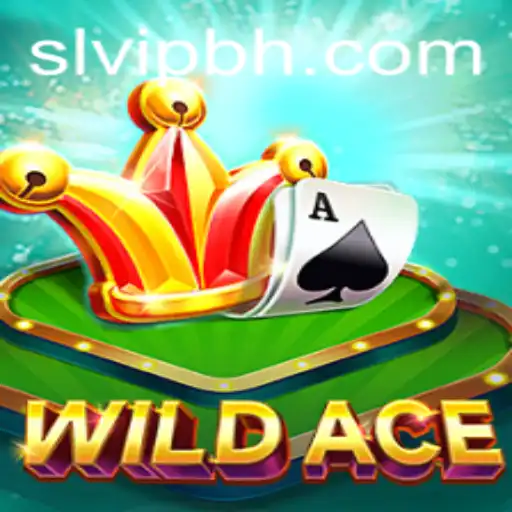 WildAce: The Exciting New Frontier in Online Gaming